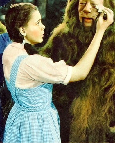 How Did Gingham Get So Popular? Ask the Wizard