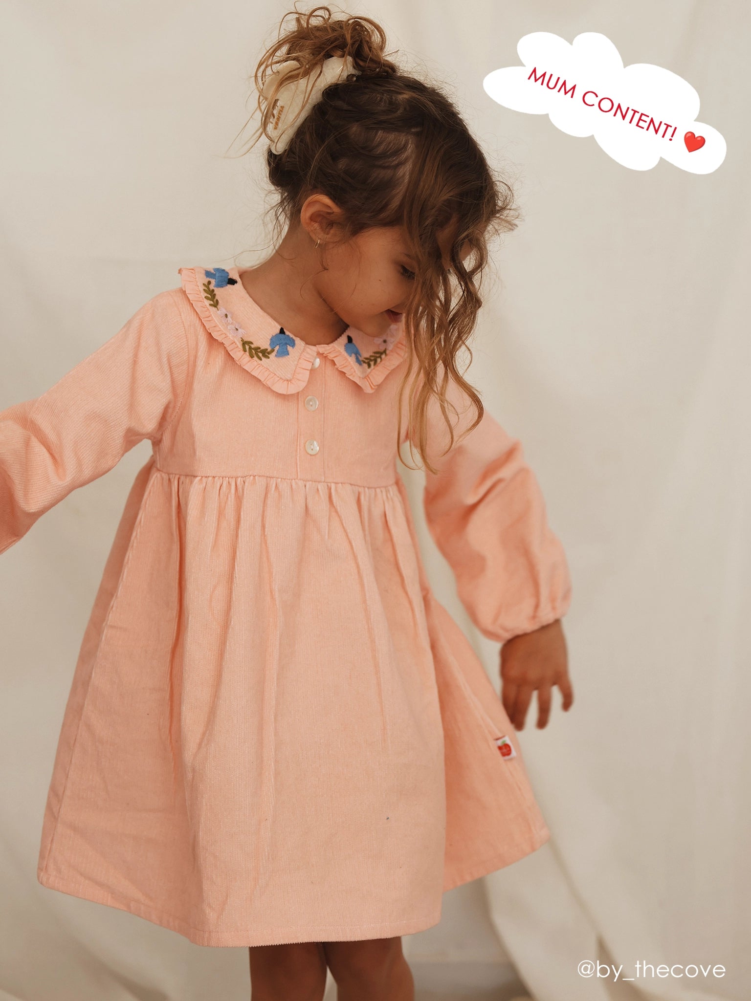 Pink Cord Coat Dress with Birds Embroidery
