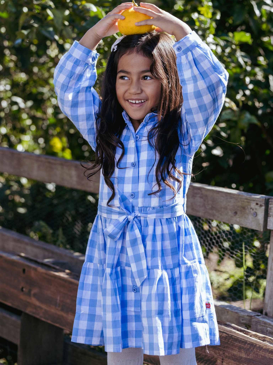 Blue Gingham Shirt Dress