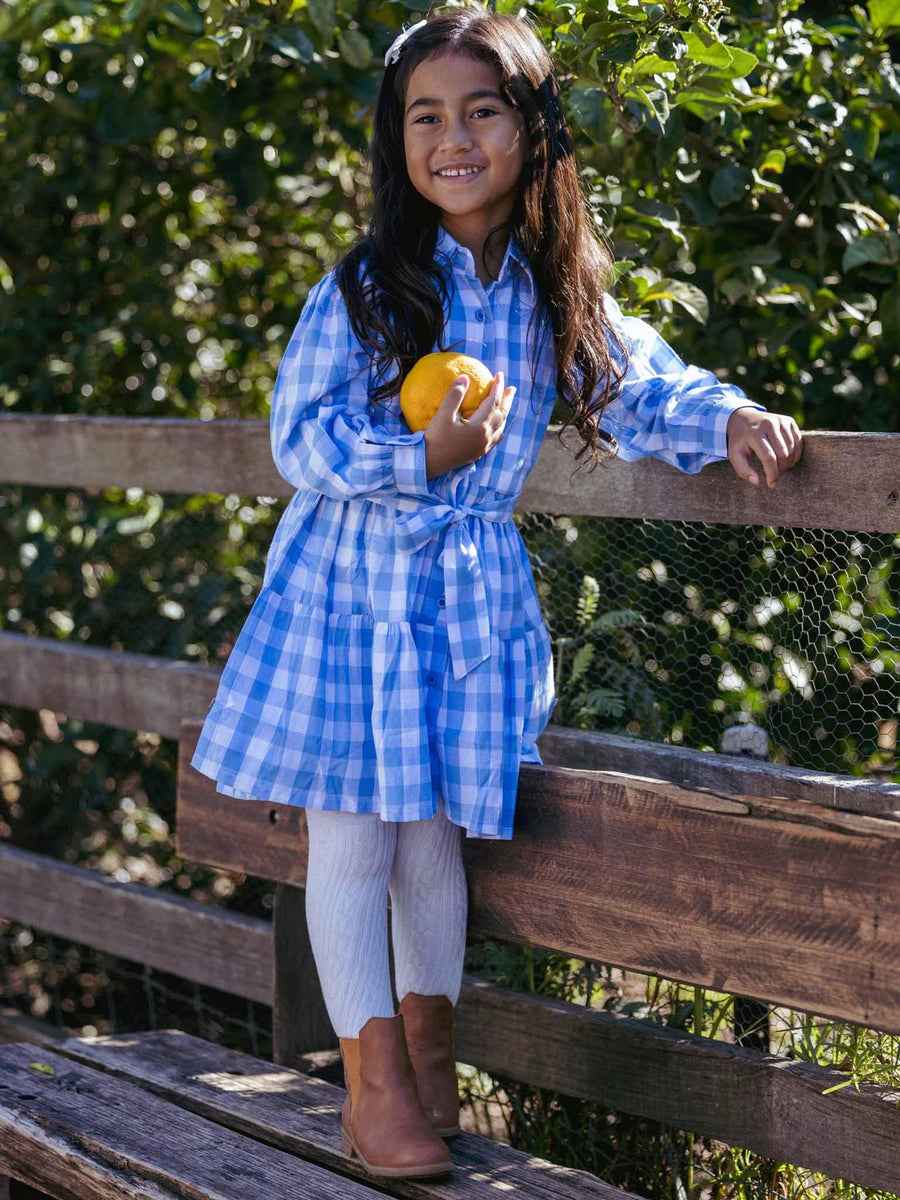 Blue Gingham Shirt Dress