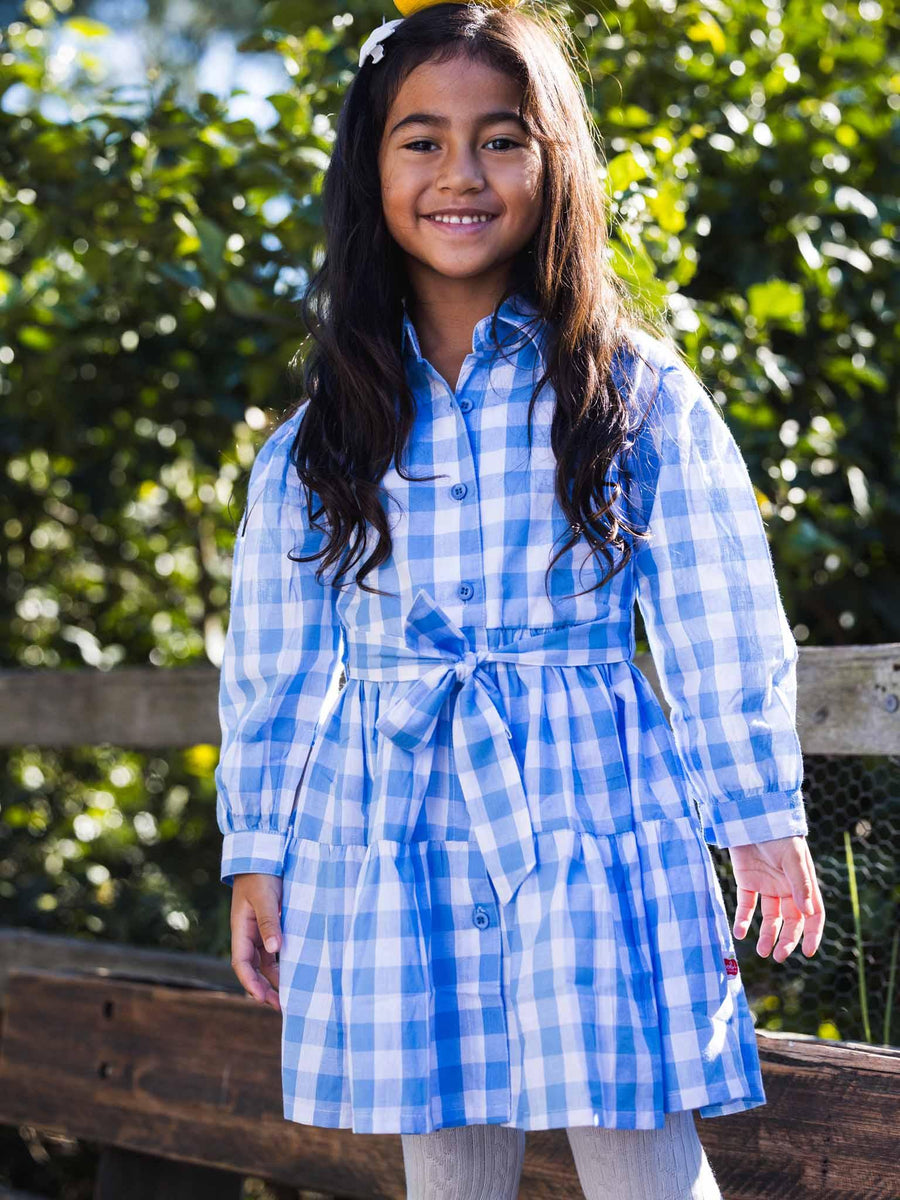 Blue Gingham Shirt Dress