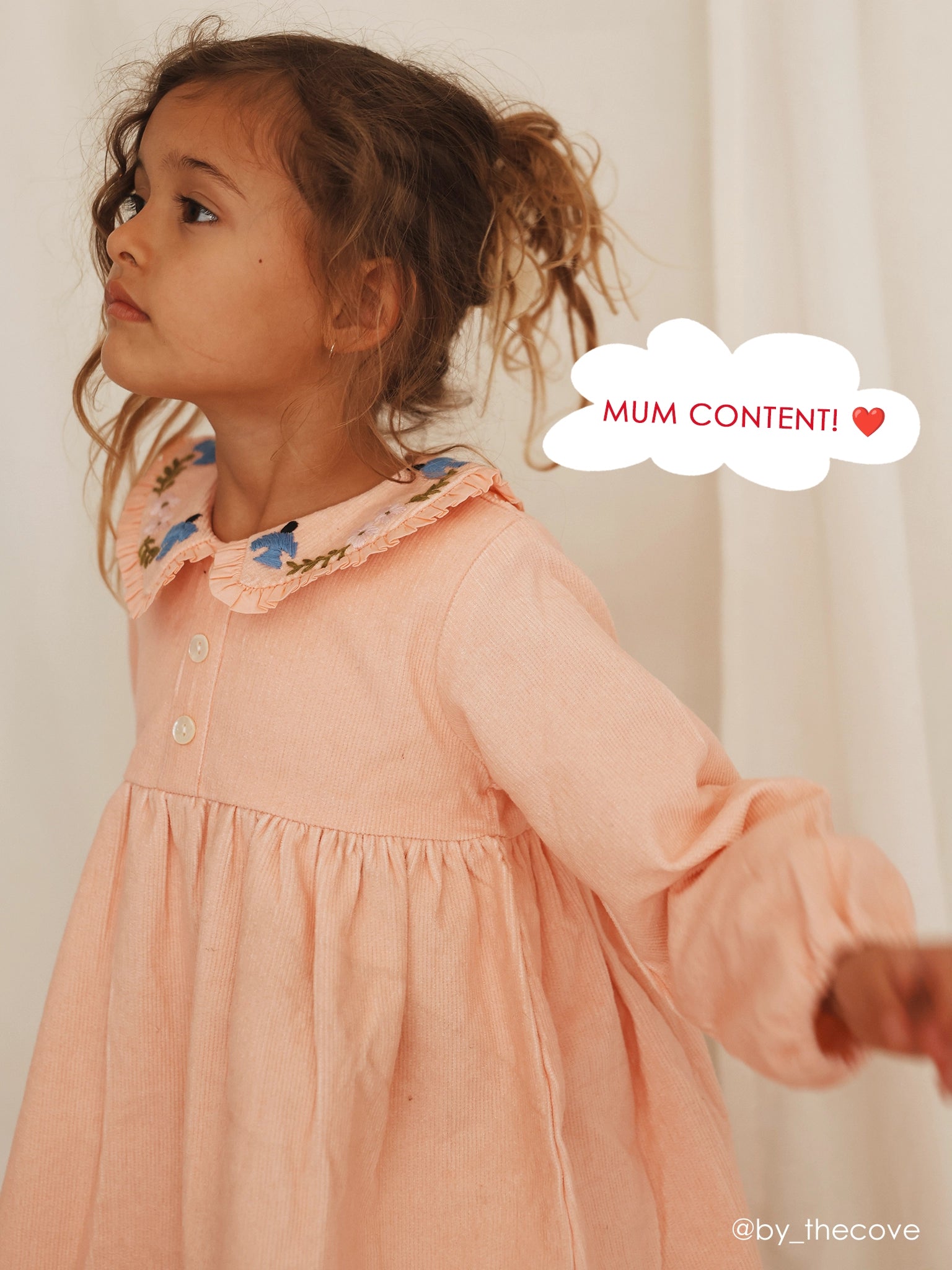Pink Cord Coat Dress with Birds Embroidery